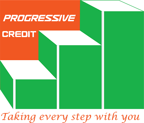 Progressive Credit Ltd